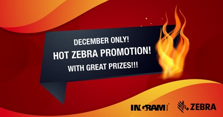 Hot December Zebra Promotion!!